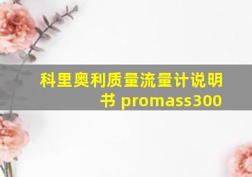 科里奥利质量流量计说明书 promass300